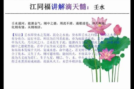 探寻壬水命的贵人缘：八字分析人生中的重要支持者