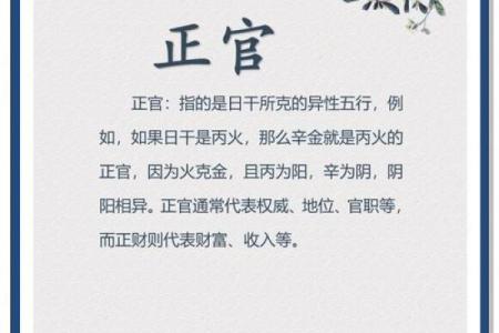 辛金命格配什么命格，揭示命理中的和谐之道