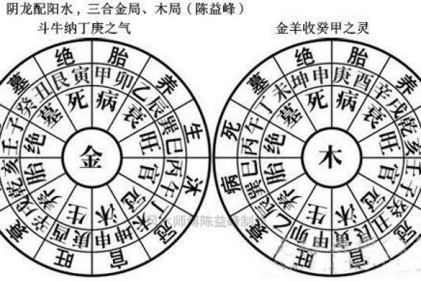 水龙命与土龙命的奥秘：揭开命理与性格的神秘面纱