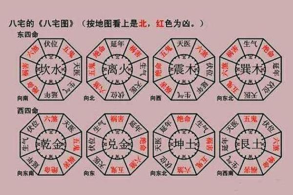 午时马的五行属性与命理分析：揭示你的命运之路