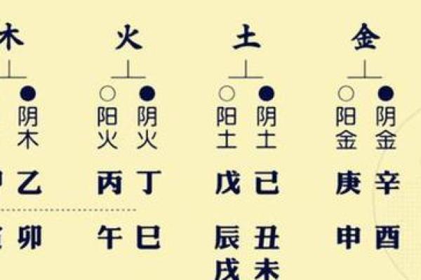 探寻木命与数字的和谐共生之道：命理中的数字力量