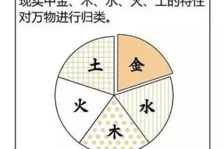 探寻命理之道：八字人为何钟情学命理的奥秘揭示