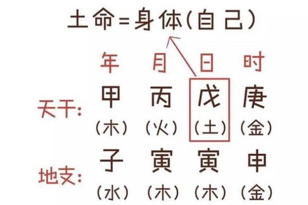 探索四火四土命局：命理中的智慧与奥秘