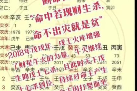 探秘入命与坐命主：命理学中的重要概念与应用