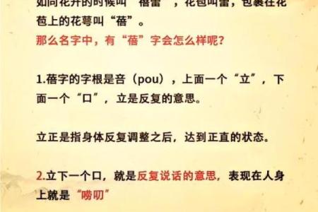 探寻命理：如何选择能孕育多位优秀女孩的名字