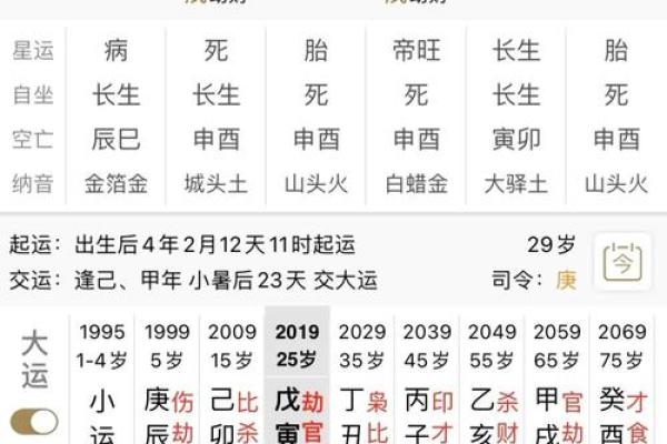 阴命阳命的深度解析：你属于哪一类？