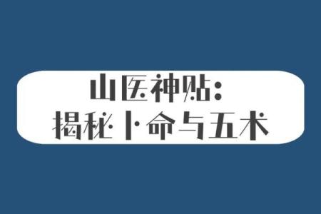 阳命与仙命：探索命理奥秘的双重境界