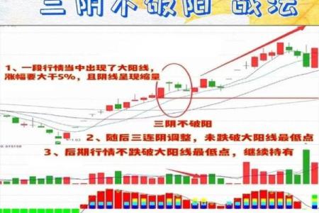 阴命阳命的深度解析：你属于哪一类？