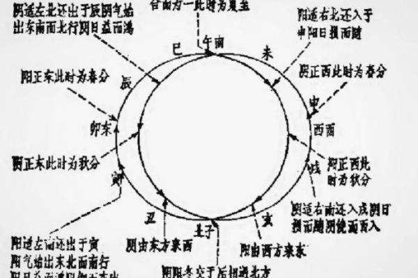 五行气功：破解命运的奥秘与智慧