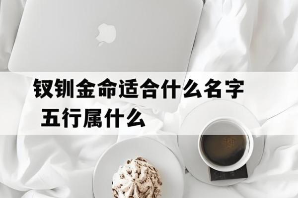 五行金命的人缺什么？工作助力与职业建议探讨