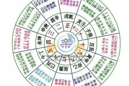 辛未戊戌丙寅丁酉命解密：深析五行八字与人生运势的关联