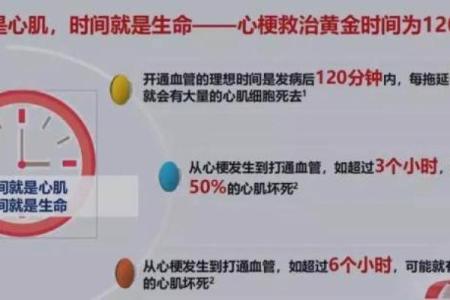 掌握关键时刻：时间与生命的紧密联系