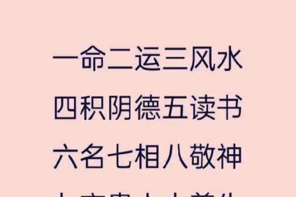 探寻命的奥秘：一命、六命、五命与三命的深刻解读