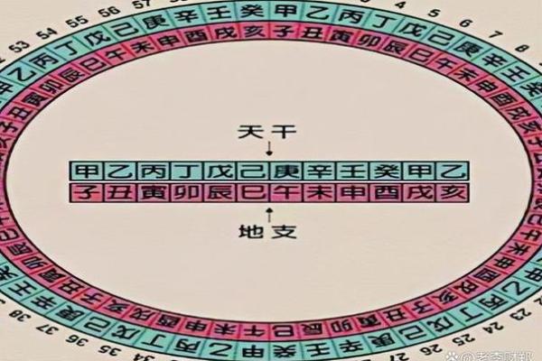 乙卯年柱男命：命理解析与人生指引之旅