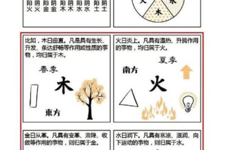 探秘生辰八字命理：解读你的命运与人生轨迹