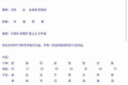 四柱命格揭秘：探寻你命运中的秘密与机遇