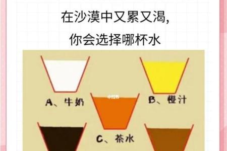 探究性格与命运之间的微妙联系：从脾气看人生轨迹