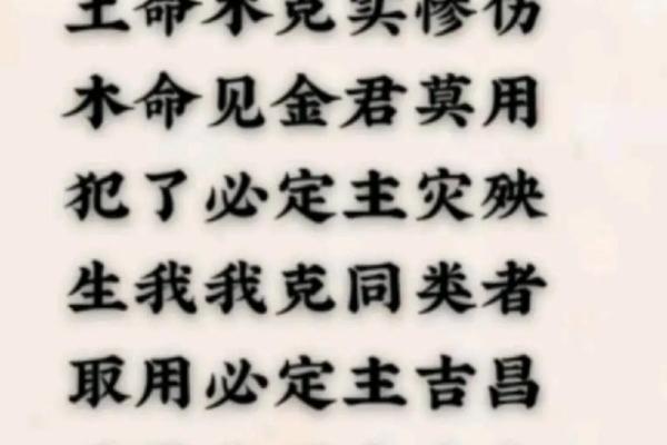 水命与木命的最佳字：解读五行相生相克的智慧