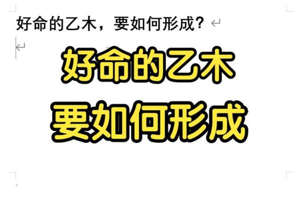 乙木女命适合做什么行业？开启你的职业之旅！