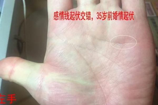 无名指六斗命：命理与性格的深度解析