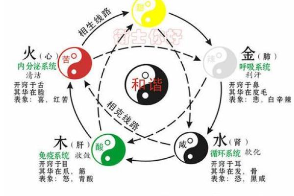 探秘五行：土命、水命与火命之间的神秘关系