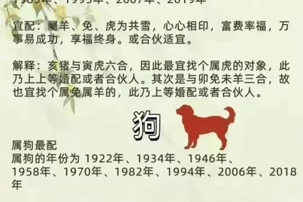 为什么说猪的生肖是马的命：探寻命运与生肖的微妙关系