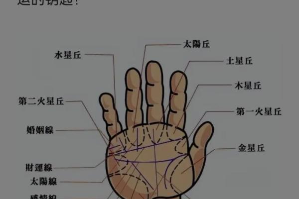 通过手纹揭示命运：解密10个簸箕的命理密码