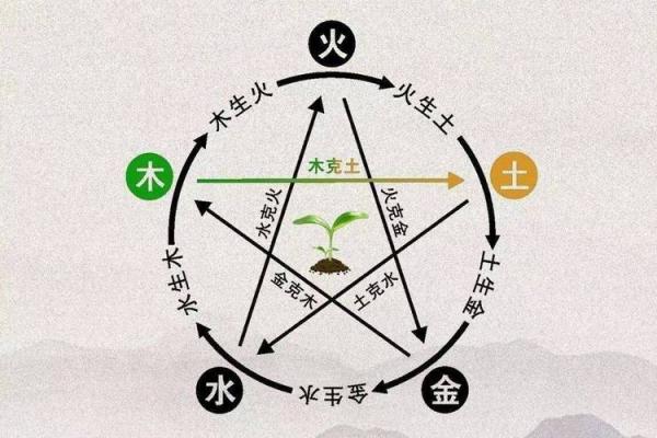 探秘五行之中的木命土财戌：解读古老智慧的财富秘密