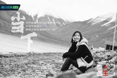 乙木女命解析：温柔坚韧的命格与独特人生旅程