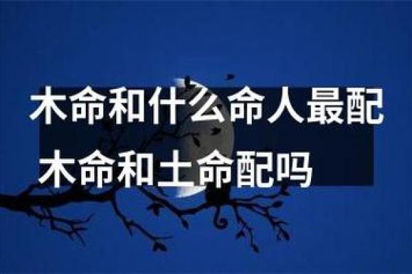 五行属木为什么克土命？深度揭示木土关系的奥秘！