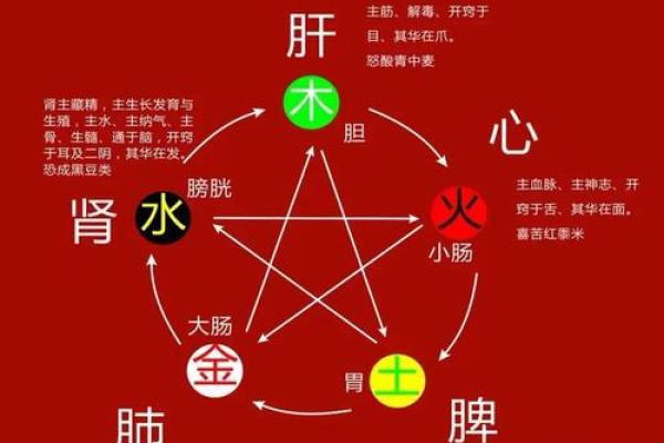 土金命与什么命最相配探秘五行相生相克的奥秘