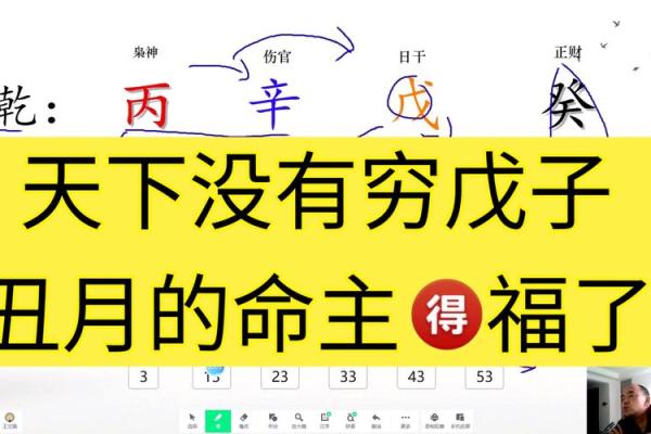 戊子出生人的命运解析：如何寻找属于自己的最佳生活路径