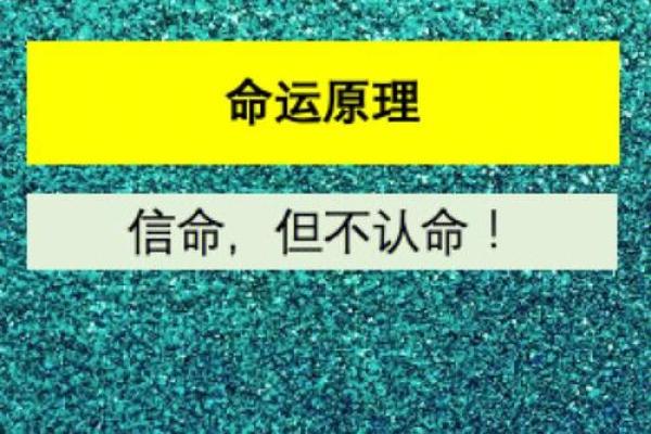 探究下午六点出生者的命格与人生轨迹