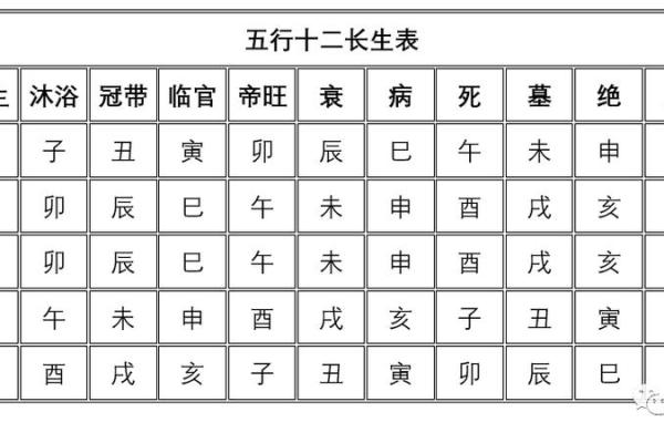 五行命理与职业选择：如何找到适合你的工作方向