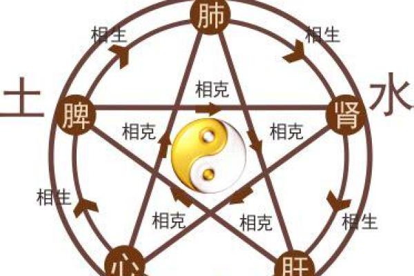 探秘五行缺木：木的命运与生活哲学的深度解析