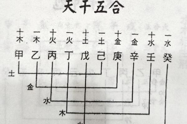 土命与木命：理想配对的孩子命格指南