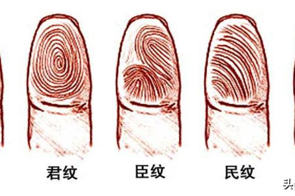 算卦说命犯华盖：揭示命运的深层奥秘与人生启示