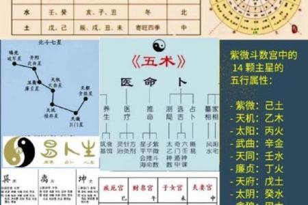 五行命理与职业选择：如何找到适合你的工作方向