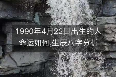 阴历1993年出生的命运解析：你是天生的领导者吗？