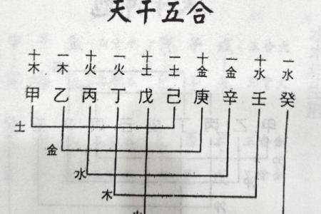 土命与木命：理想配对的孩子命格指南