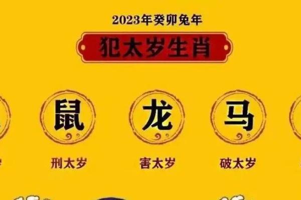 刑合入命解析：探索命理与法理结合的深刻内涵