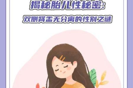 探秘“利女命不利男命”：命理中的性别之谜与人生轨迹