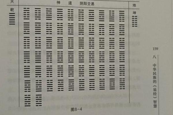 五行桑木命：揭示忌字的奥秘与智慧