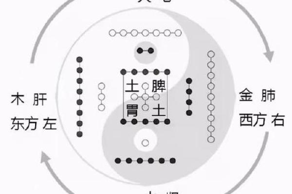 探索五行木命的特性：与自然共生的智慧