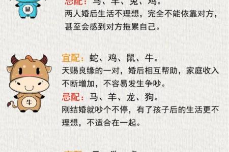 探秘生辰八字：如何通过命理掌握你的命格与未来