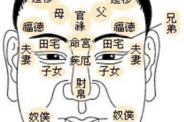 怎样通过面相洞悉领导命格，塑造成功人生！