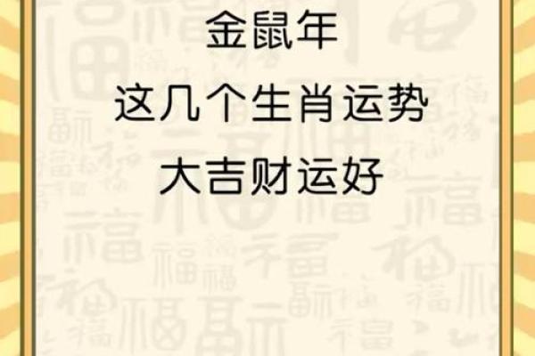 鼠年生人最有钱的生肖搭档，财富运势全解析！