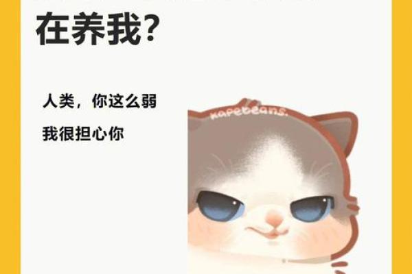 探寻“养命先生”的深意：日语中的生命之道