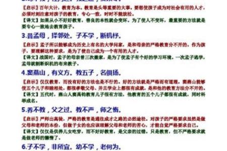 探寻命理的奥秘：巳命互禄丁的深刻解读与人生启示