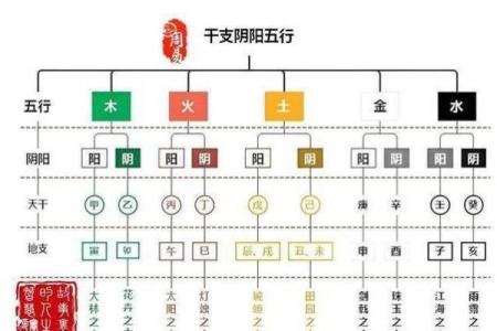 阴命与阳命：探索命理背后的深层含义与影响